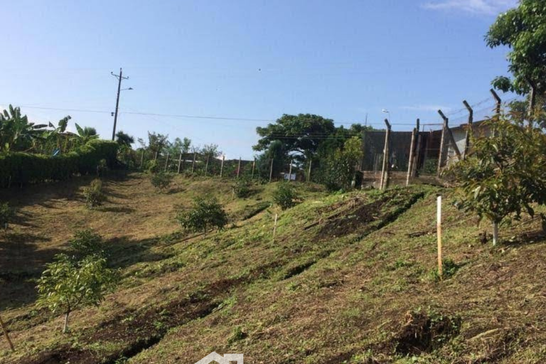 VENTA DE LOTE ENTRE ULLOA Y FILANDIA