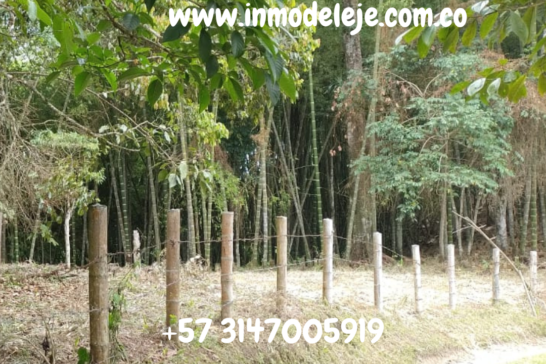 www.inmodeleje.com.co (1)