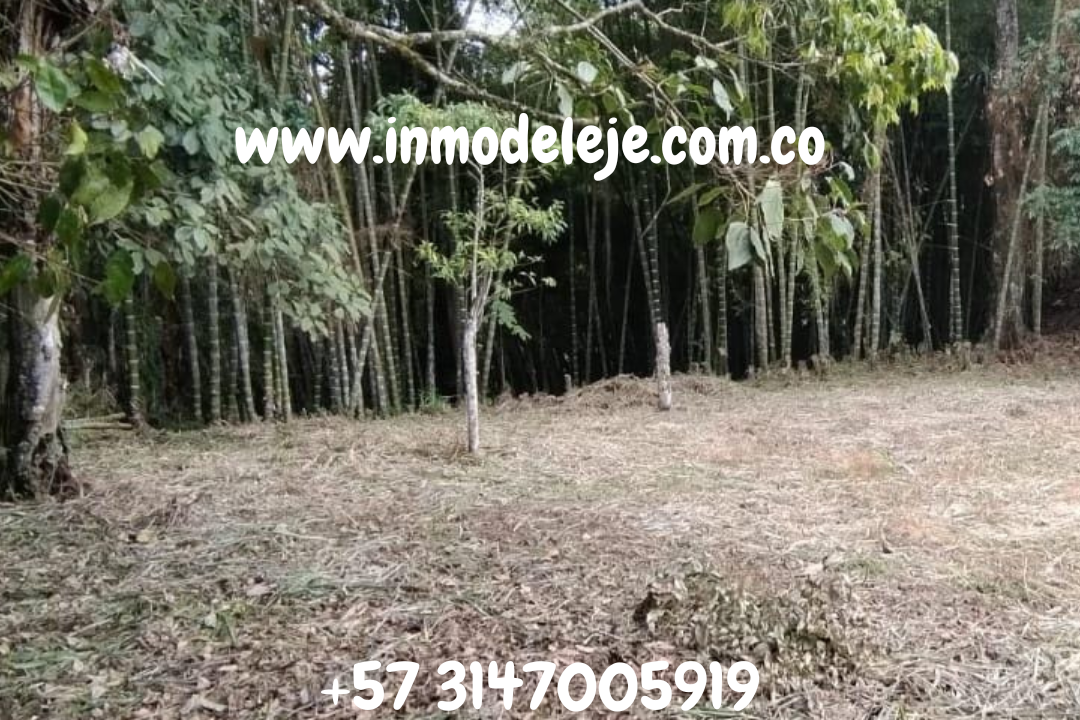 www.inmodeleje.com.co (2)