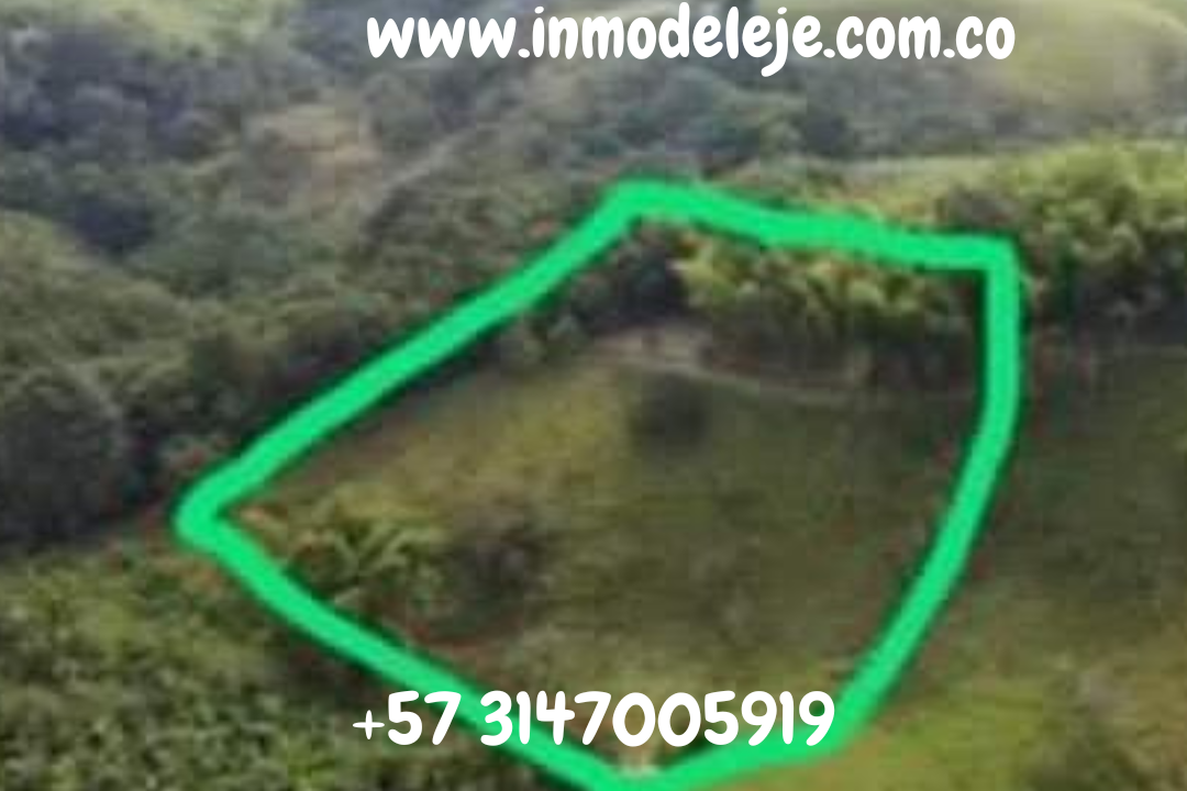 www.inmodeleje.com.co