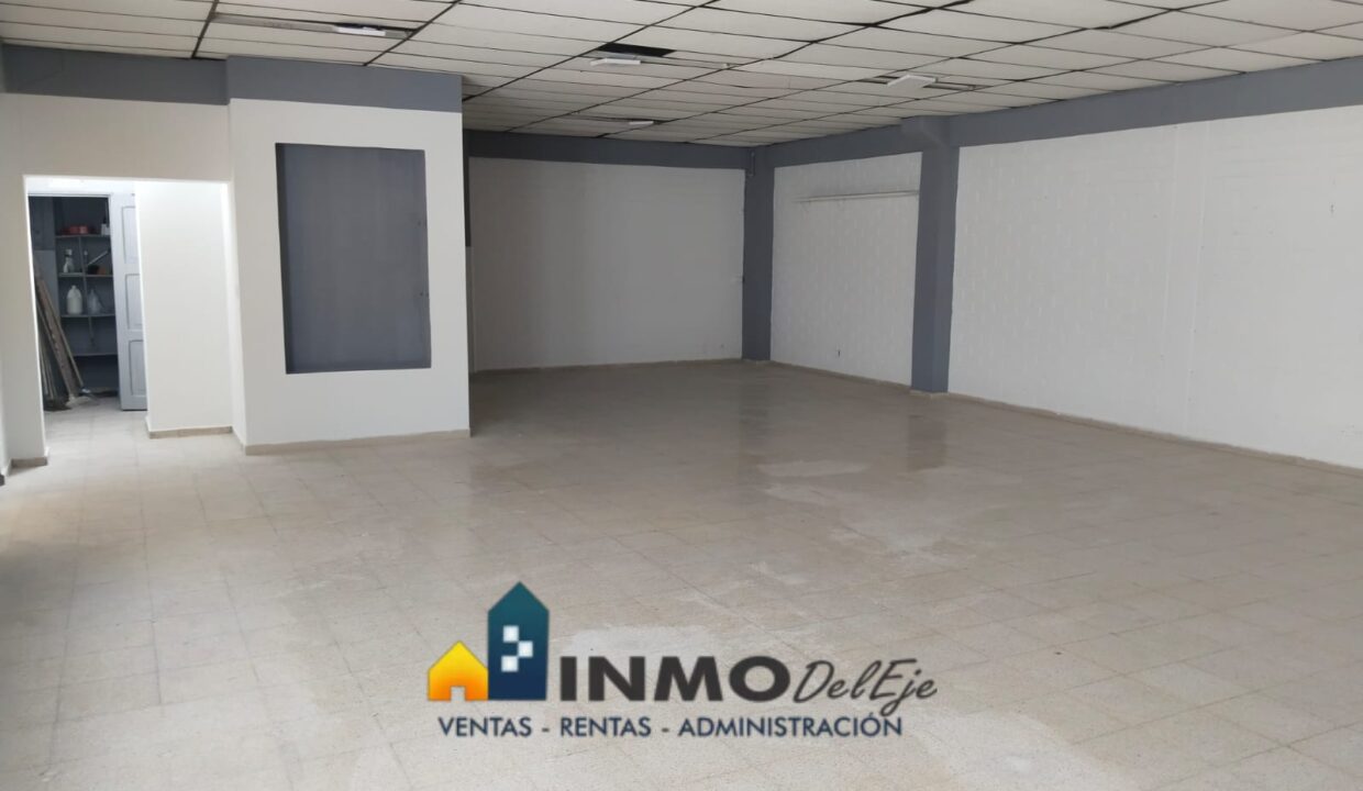 WhatsApp Image 2025-11-25 at 15.54.26