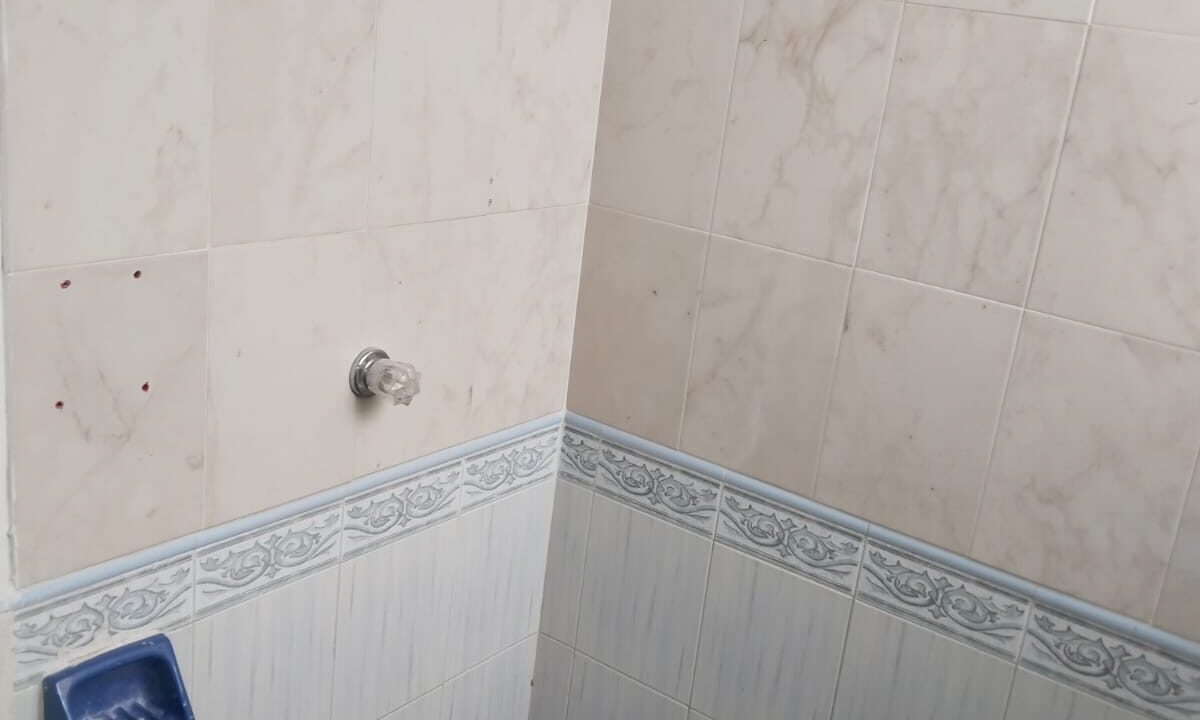 WhatsApp Image 2025-11-25 at 15.54.36