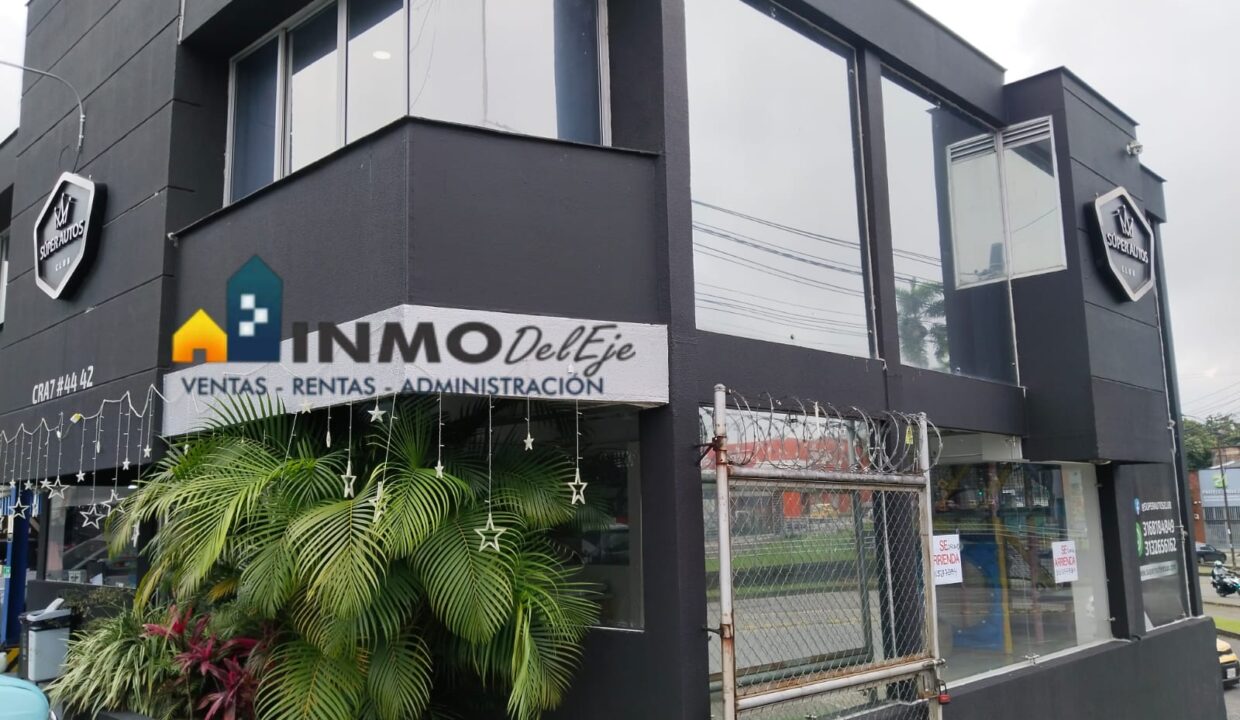 WhatsApp Image 2025-11-25 at 16.42.14